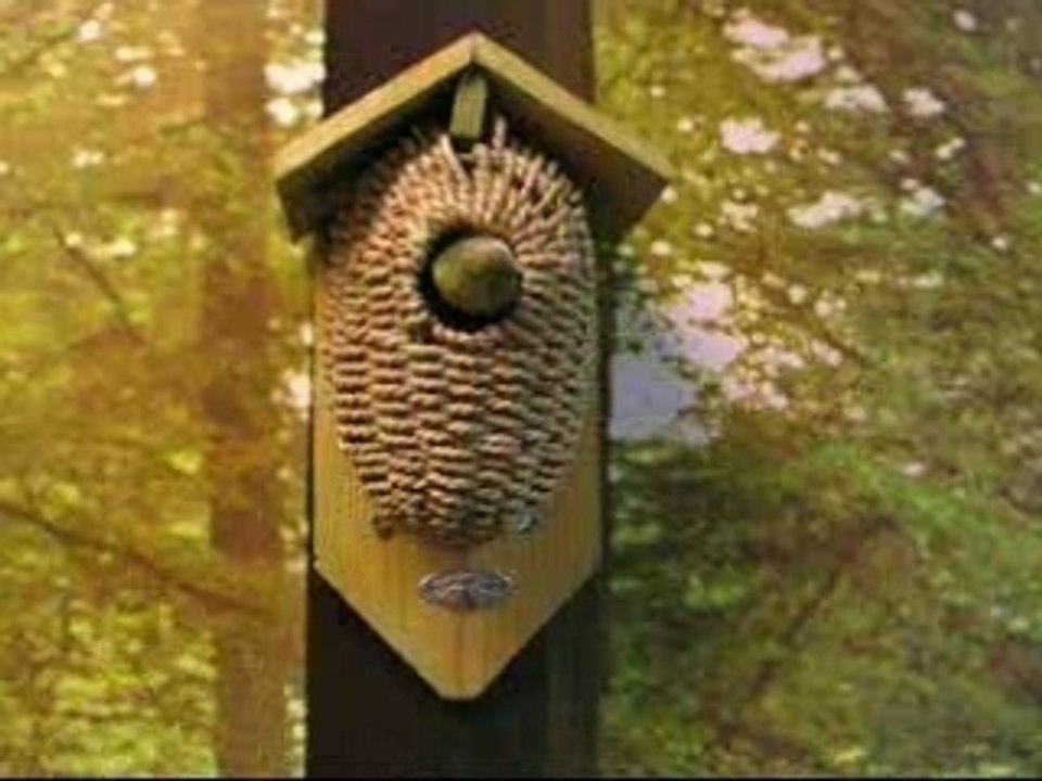 The Public Opinion 2