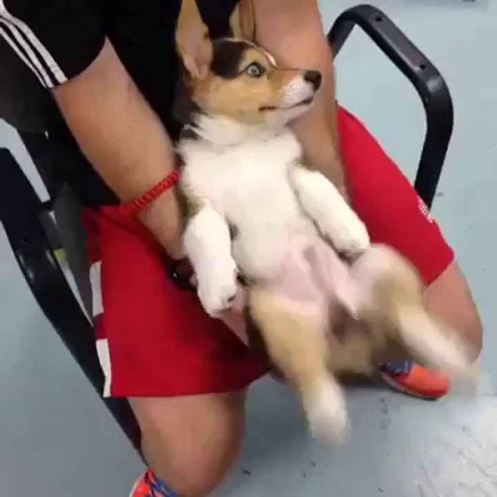 Dance! Dance! Dance!