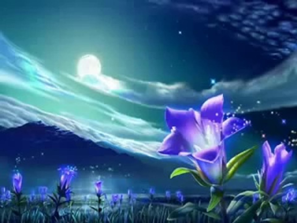 Фразы о жизни для счастья, любви