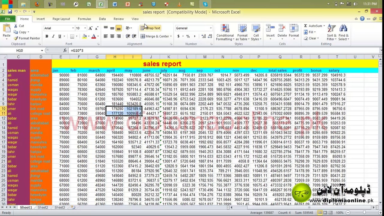 MS Excel Lesson 13