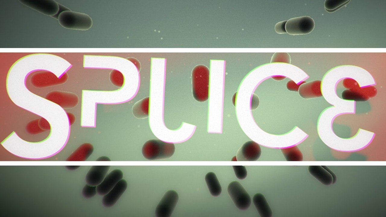 Lewis Looks At - Splice