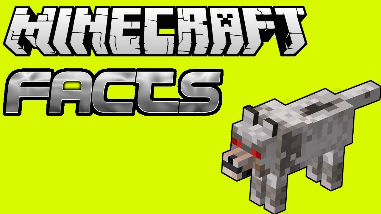 Minecraft Factual Facts: Wolf