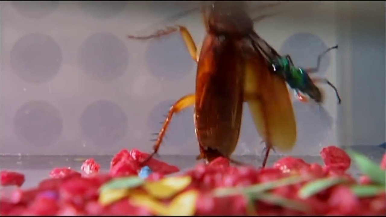 Evolution - The evolution of Venom HD