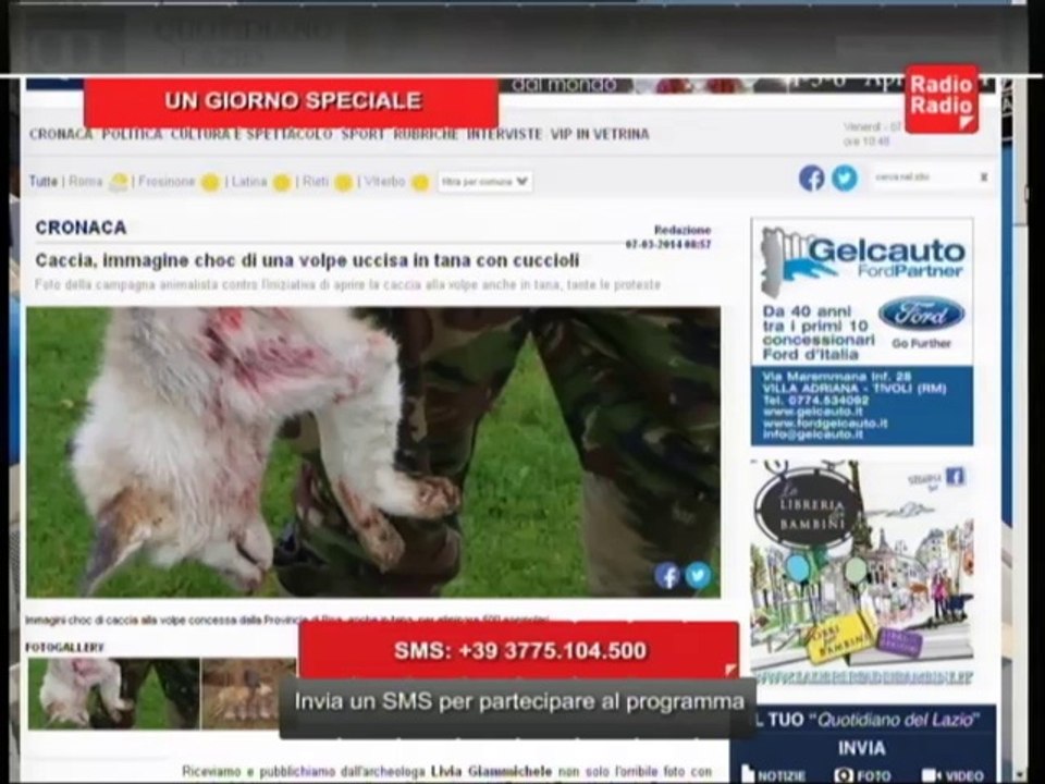 Scontro Tozzi - Presidente Arcicaccia