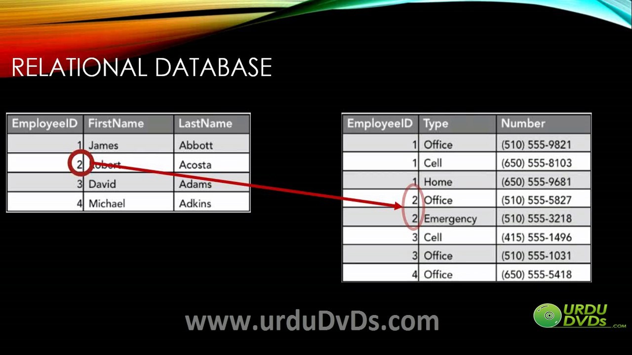 03. MS.Access 2013 in Urdu - Basic Concepts