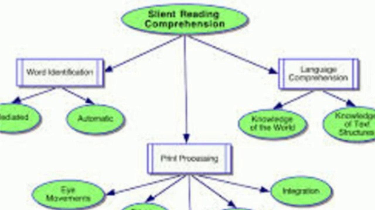 Web Developer Basics 🖥️