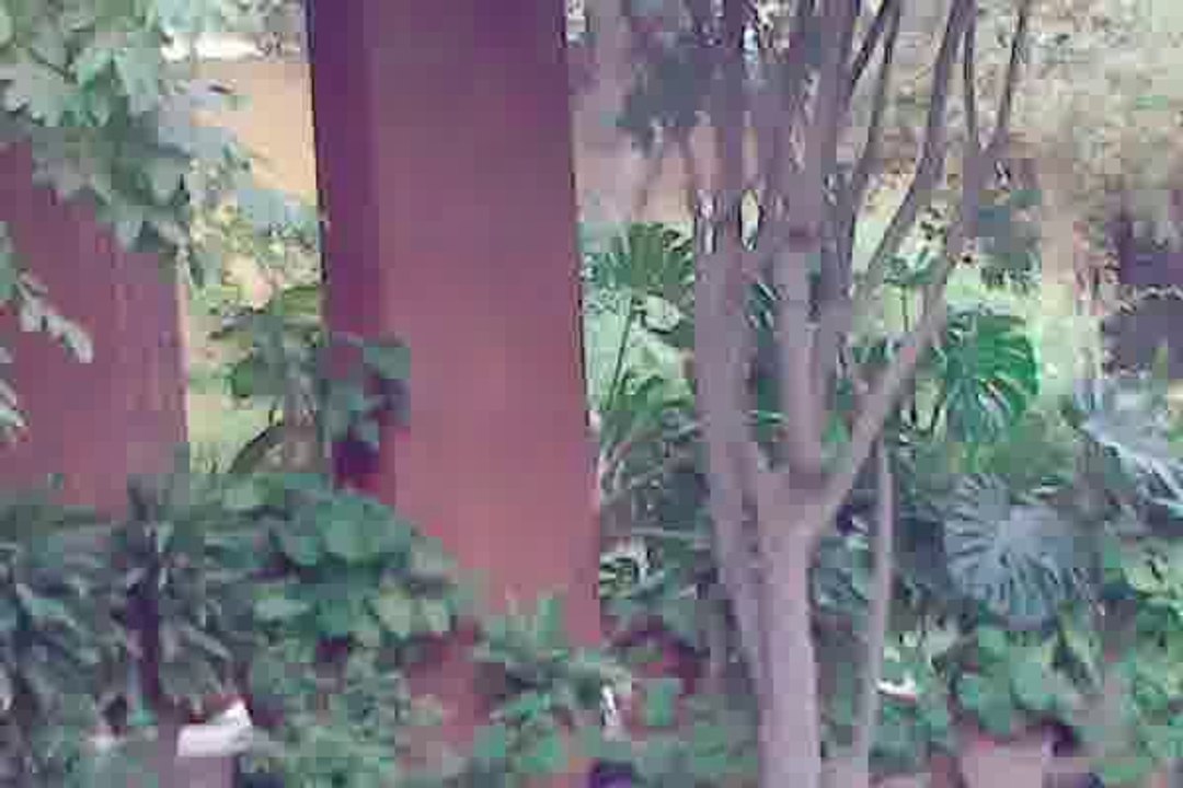 villa for sale in old hadaik ahram turing in elharem    فيلا فى حدائق الاهرام القديمة تورينج فى الهرم