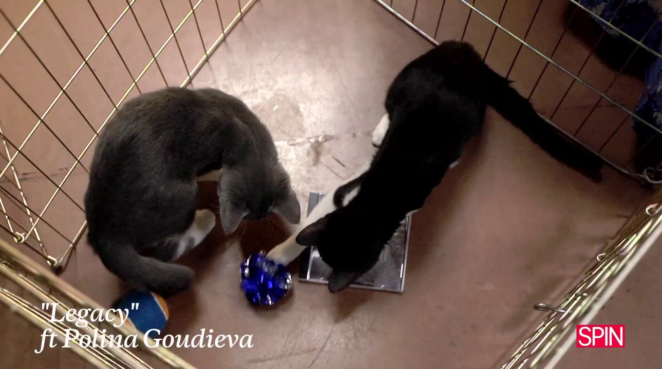 Eminem "The Marshall Mathers LP2" + Kittens (The Spin Review)