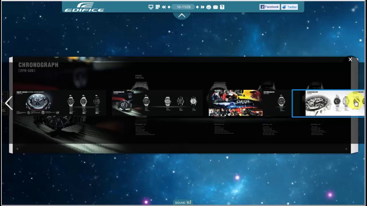 Demo Example Show of Flip PDF Professional