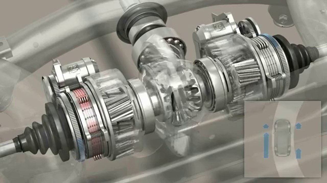 ZF vector differential