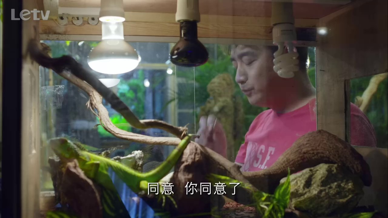 [电视剧]我爱男闺蜜06