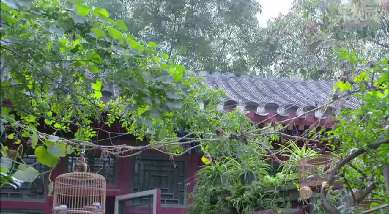 [电视剧]我爱男闺蜜07