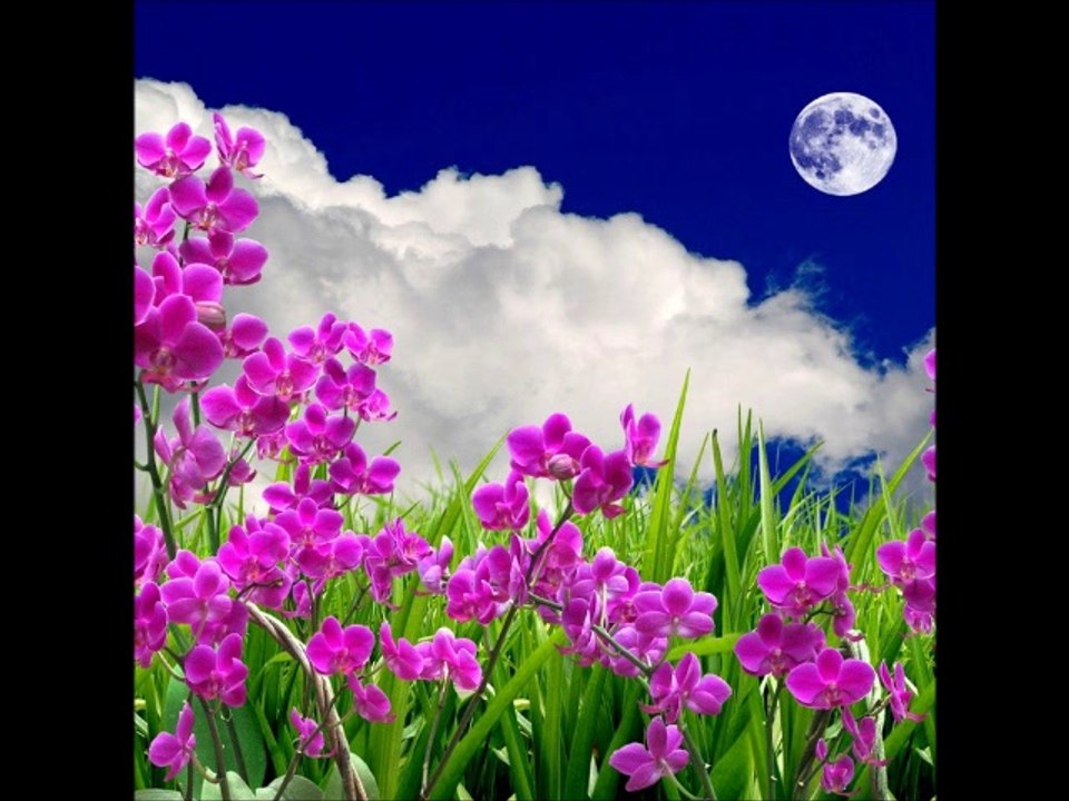 DOLUNAY OLUMLAMALARI