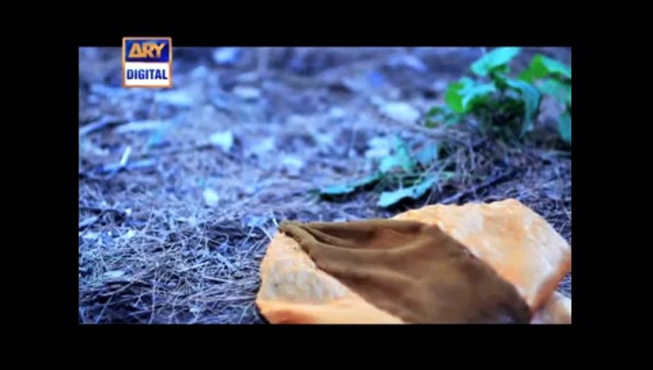 Sannata (Song) - ARY Digital