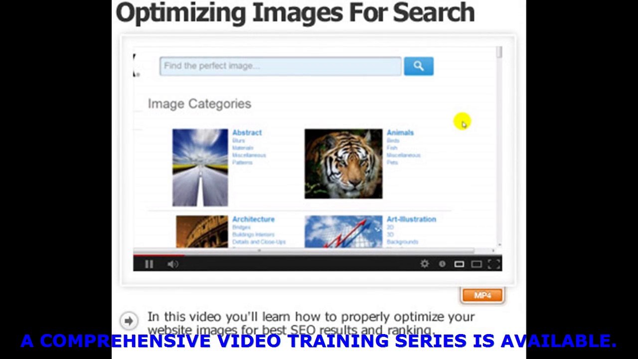 Wordpress For Beginners