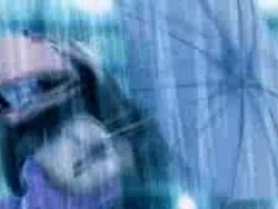 Holly dolly - Dolly song