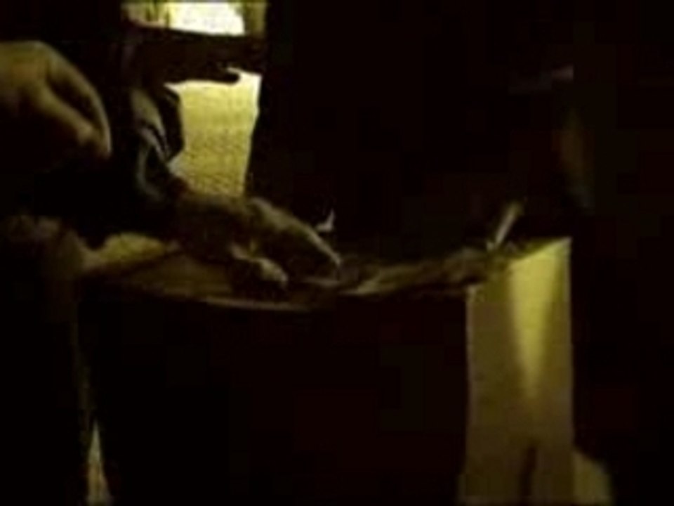 Restart From Scratch