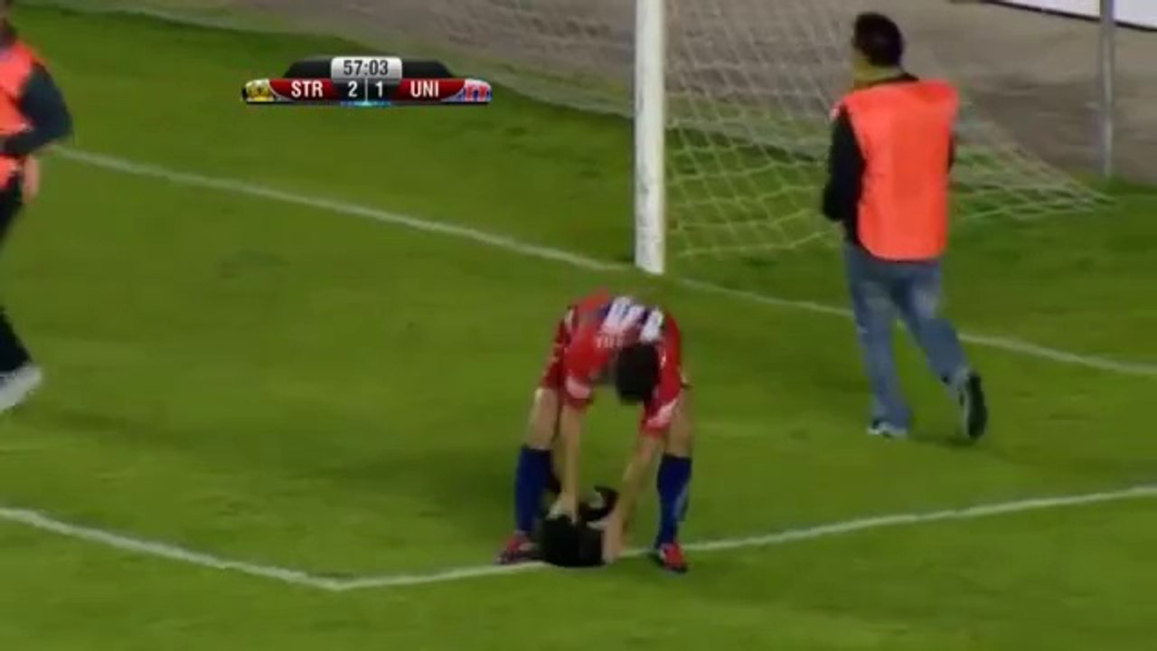 futebol caes - EMBRULHA.com