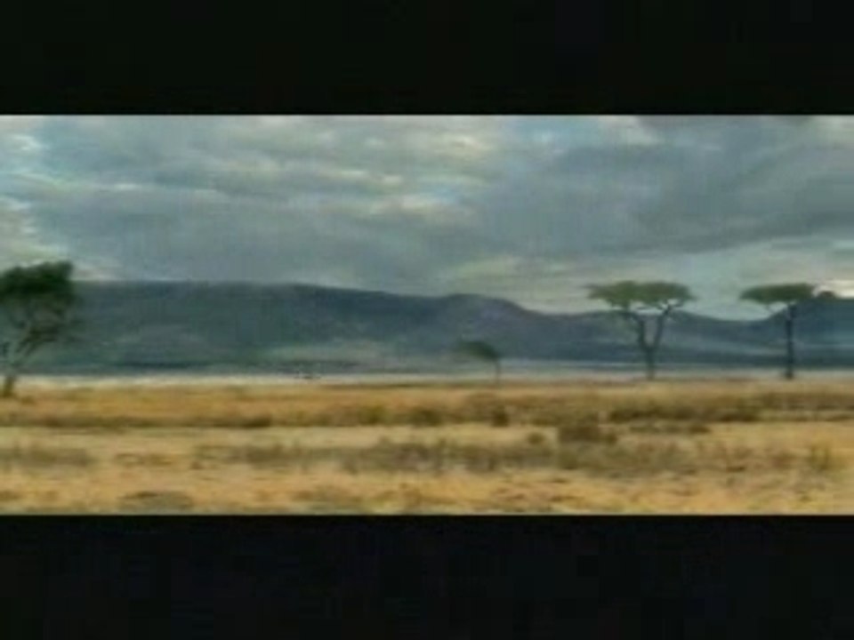 Connasse d'antilope 😄