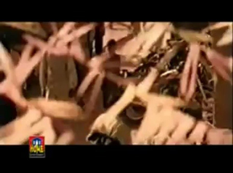 Dam Mast Qalandar Mast Mast