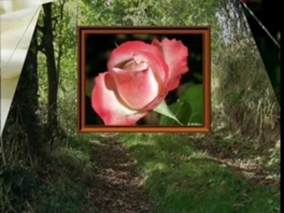 Challenging Puzzle to Test Your Wits 🧩