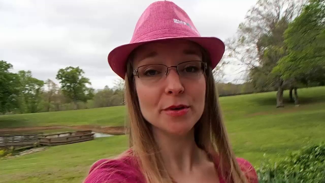 What is a Scam and What is Spam