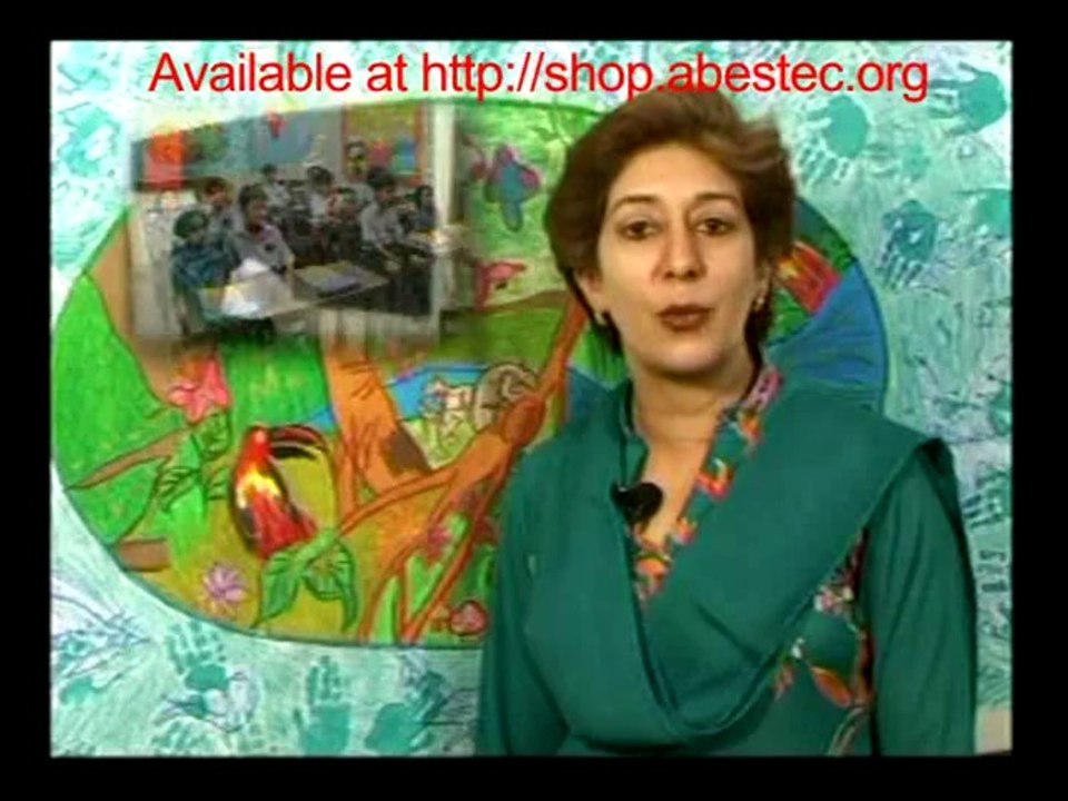 Mathematics VL1008: Fun Fraction Lessons 📚