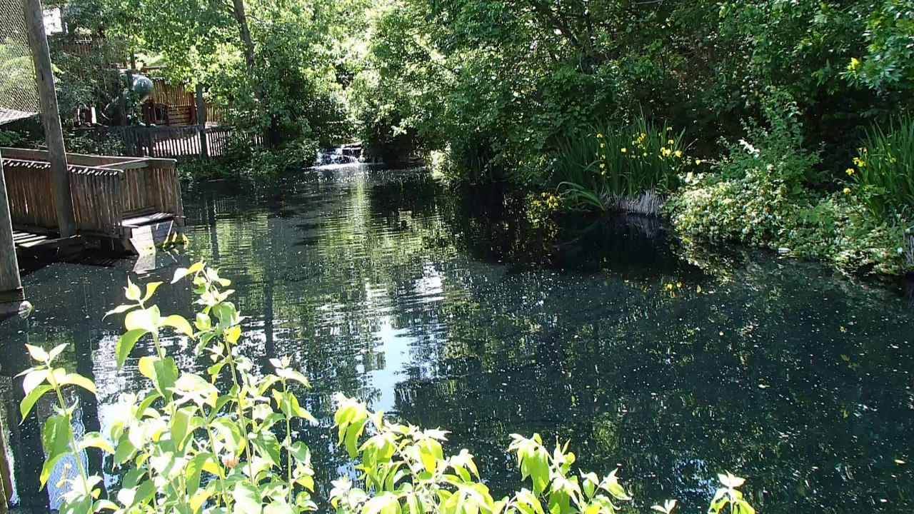 Unlock the Power of Video Marketing: Boost Your Business 🚀