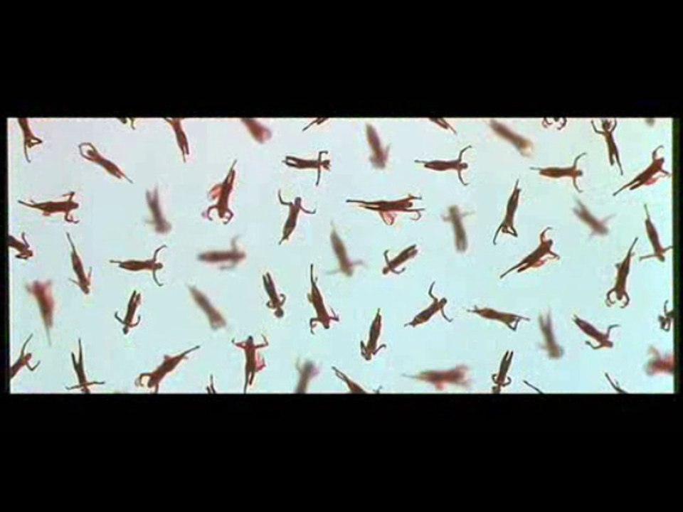 AYTIWS Reviews Tomorrow Never Dies