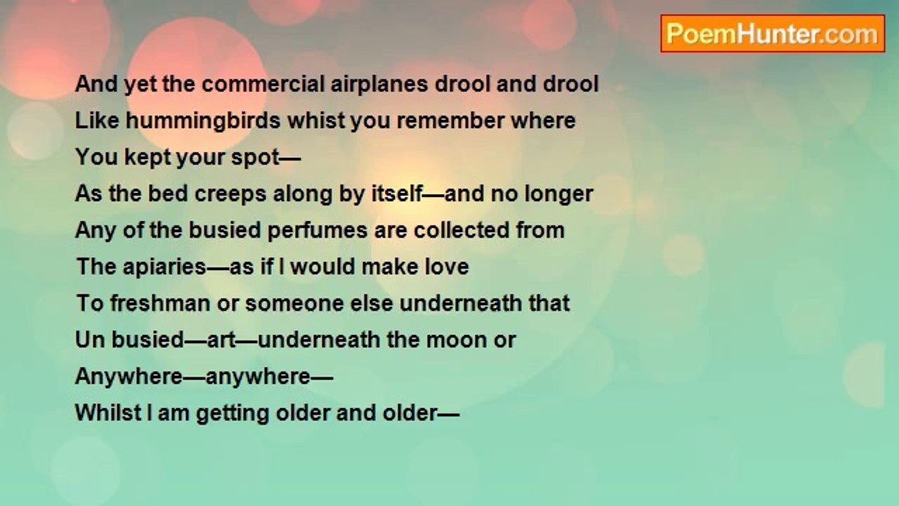 Robert Rorabeck - Prime Numbers In The Elbows Of Her Gardens