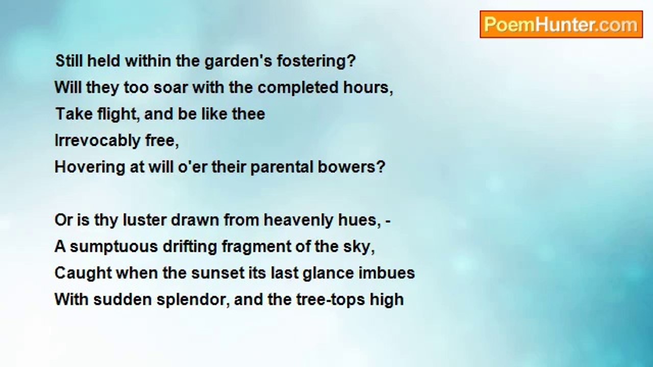 Thomas Wentworth Higginson - Ode To A Butterfly