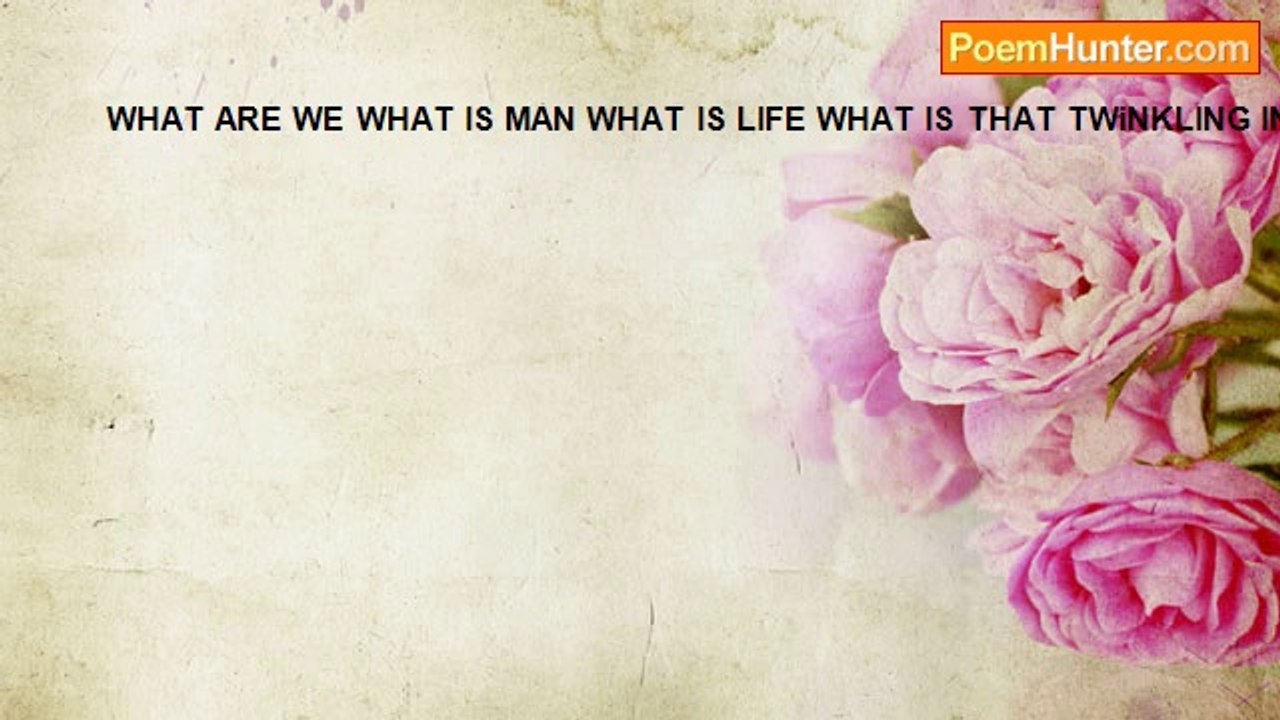 dorian suchelle - what is what