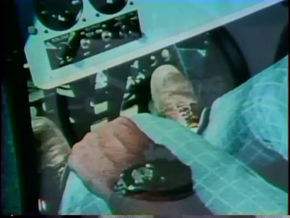 NEW DIRECTIONS IN FLIGHT