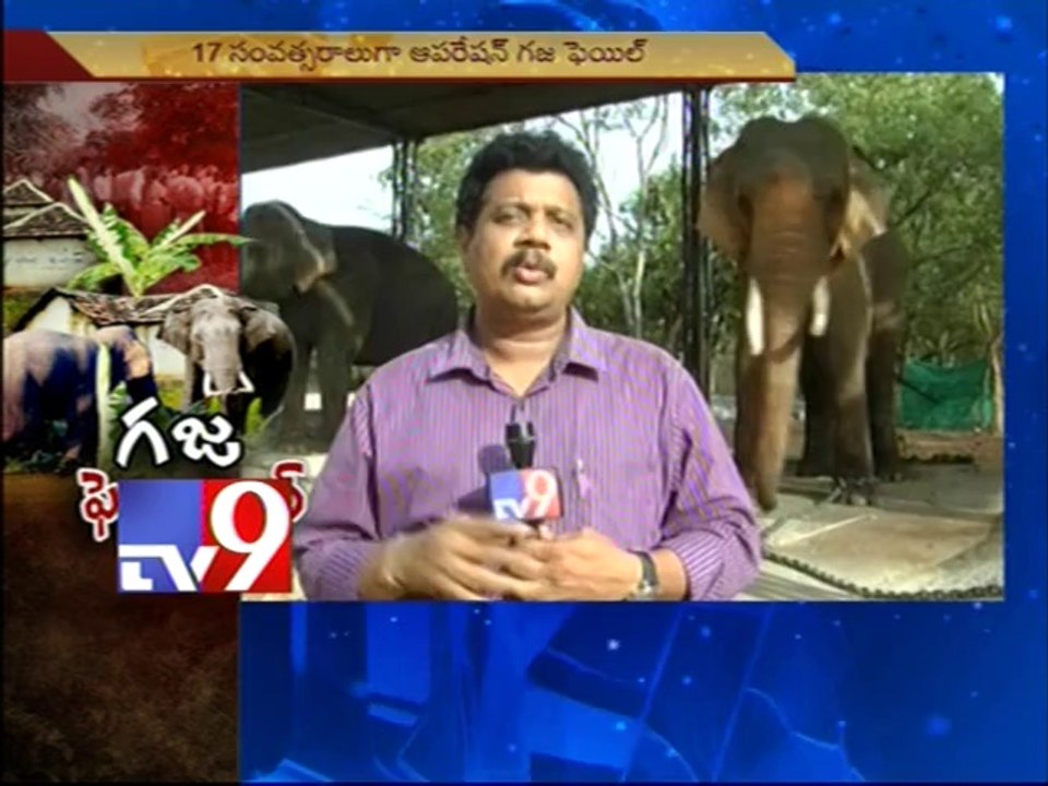 'Operation Gaja' fails in Chittoor