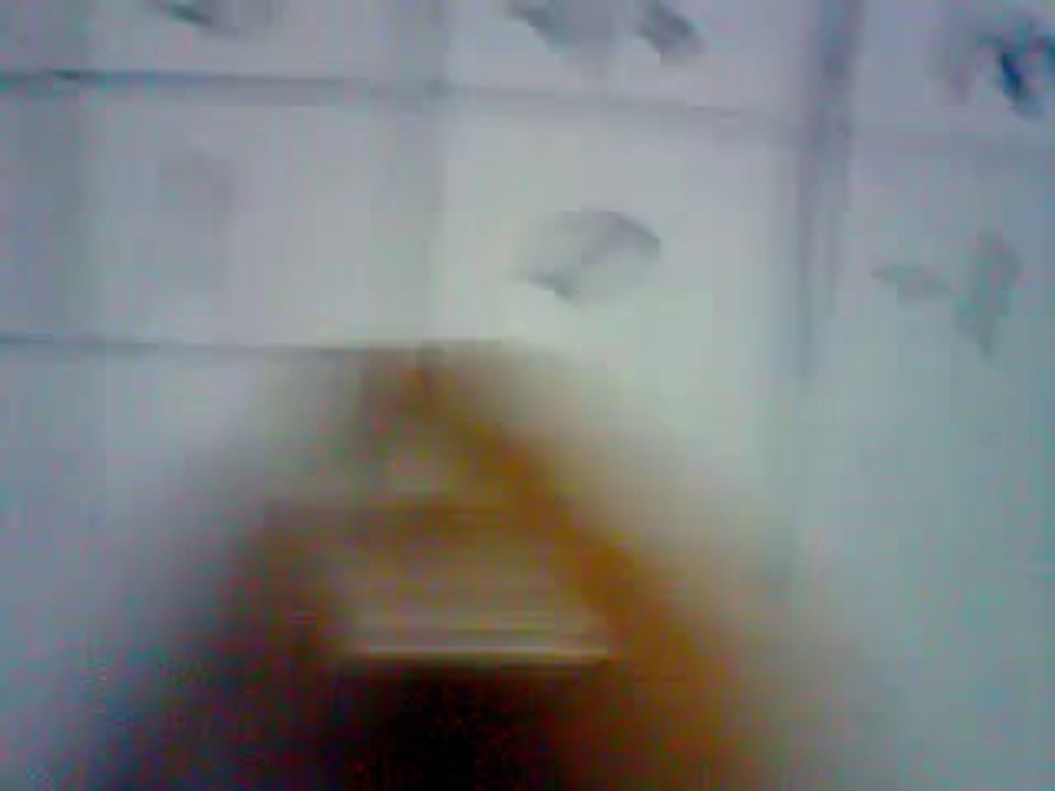 Trigonometric Function Graphs 📊