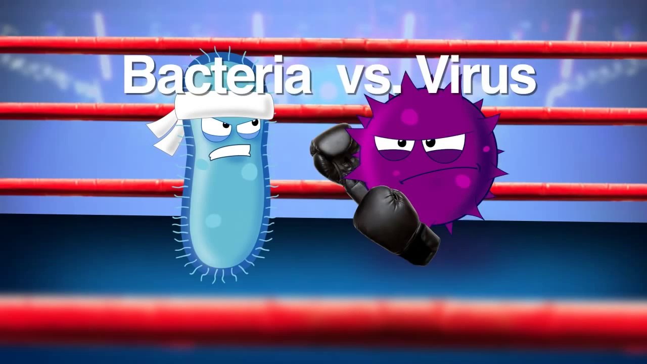 Explaining Why We Need Probiotics