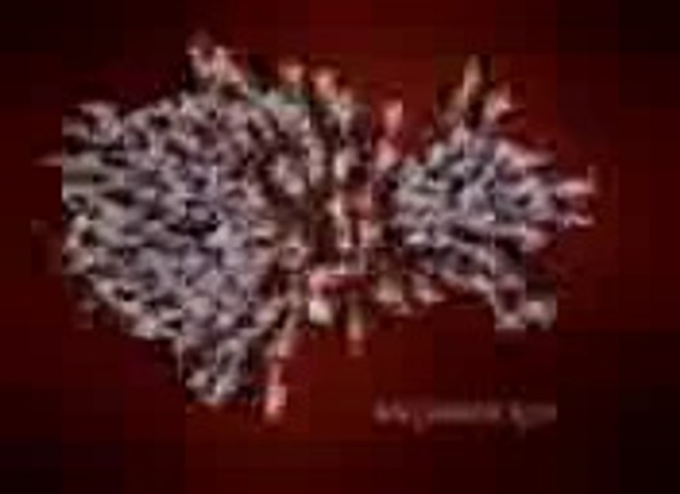 Omaxe Reviews - Amazing Choreo Graphy