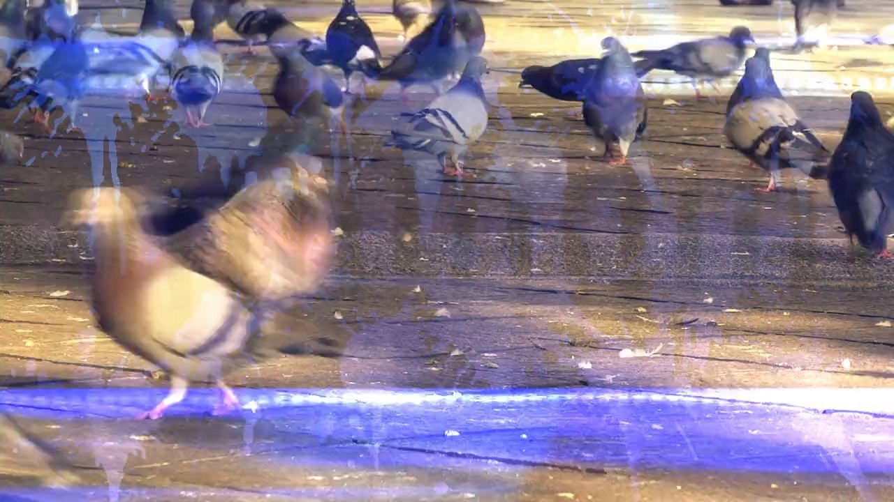 crappy fx promo Capstone Designs