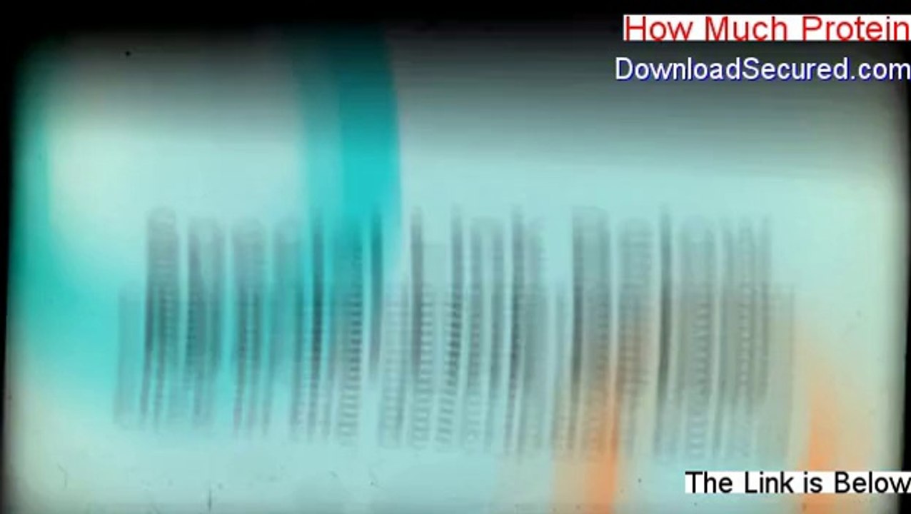 How Much Protein PDF Download [Instant Download]