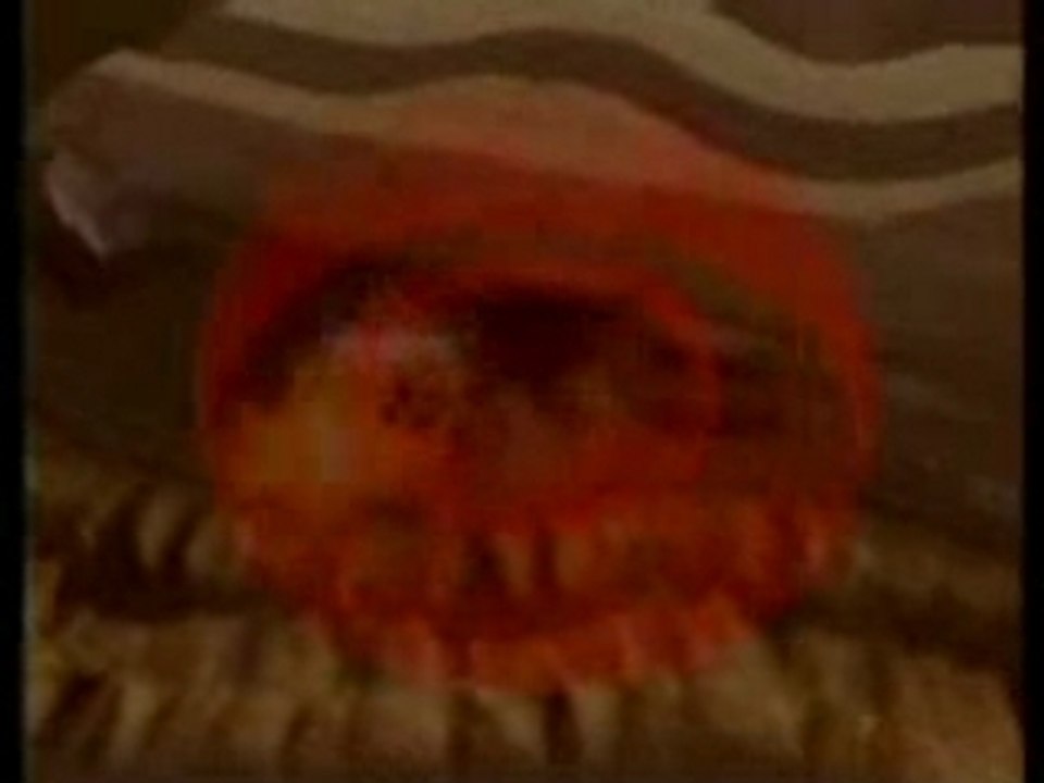 SpaceWorld 1996 Highlights 🚀