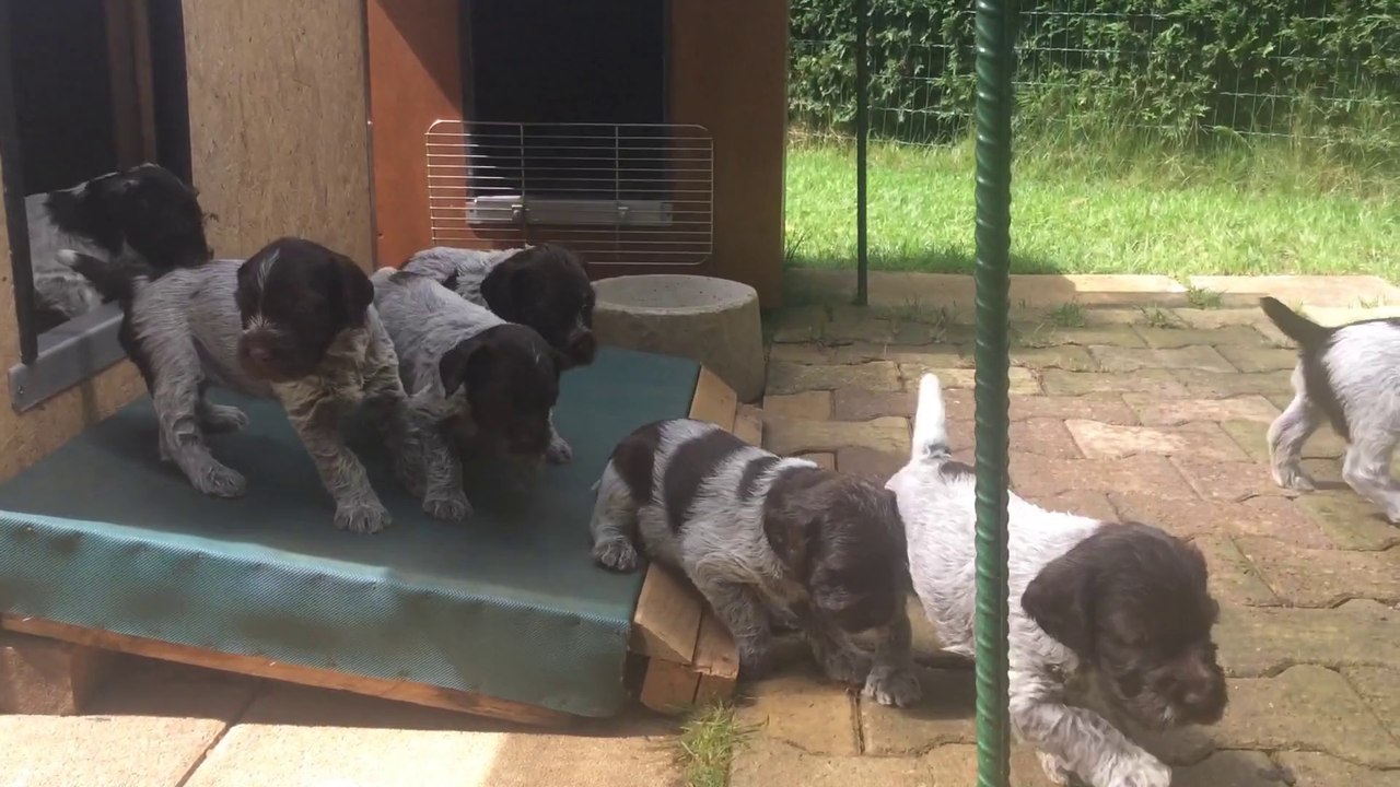 Understanding the Date Format 14/07/14/2