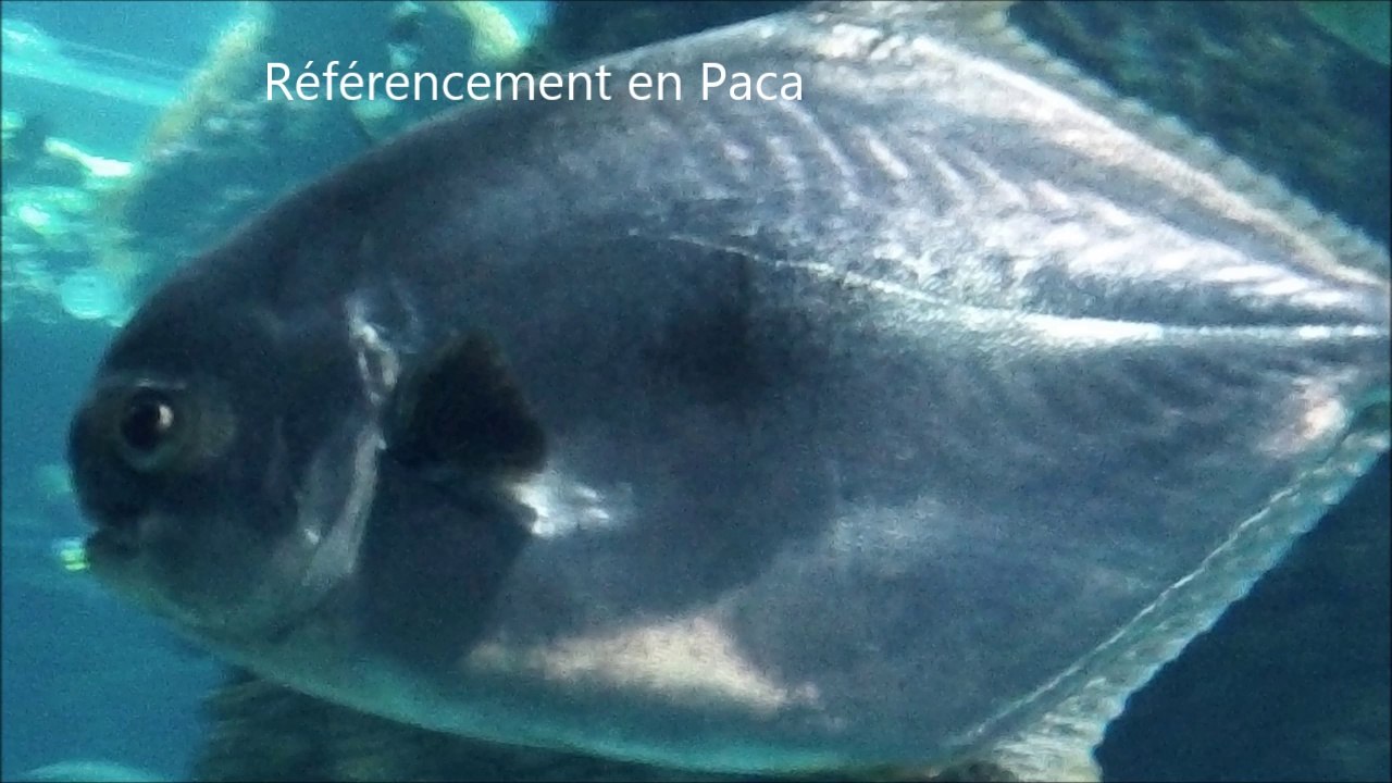 Driss Ait Youssef croisieres thematiques Driss Ait Youssef