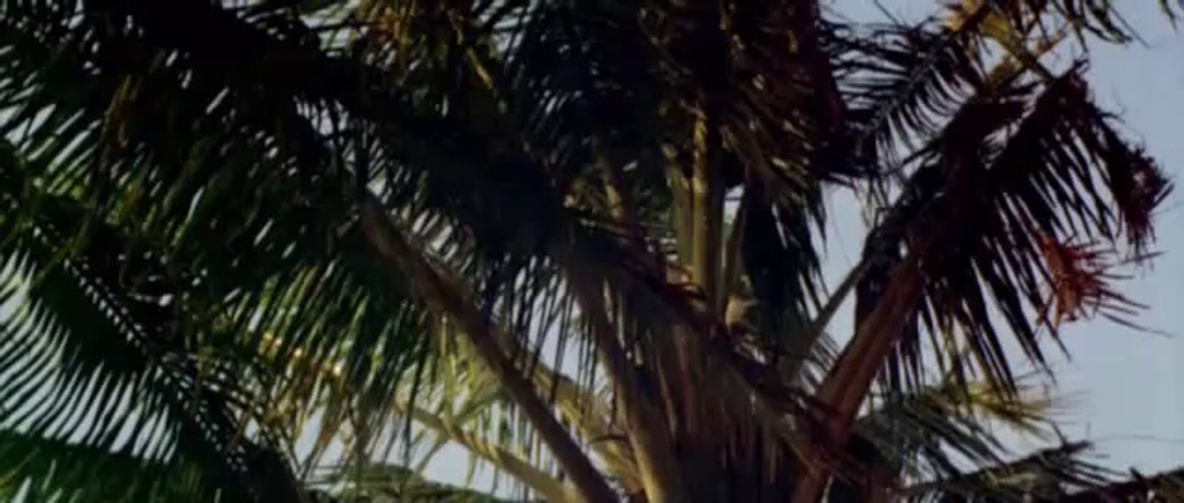 Geografia: Desmatamento e Devastação