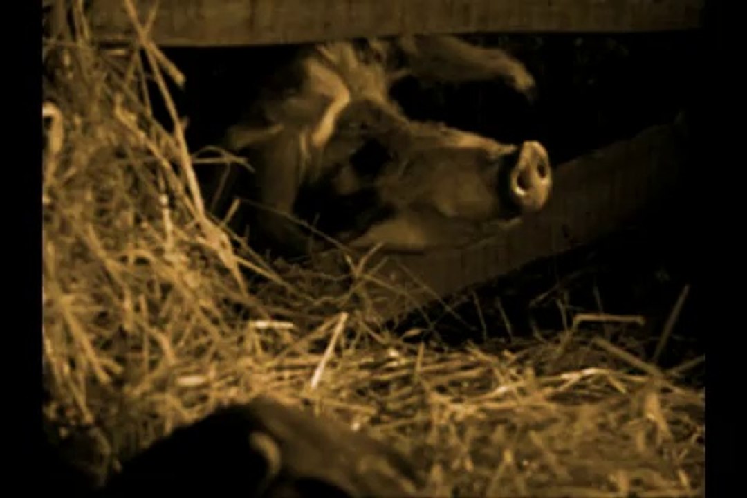 AUDIO VISUAL SAMPLE NARRATION 1of 2 OF GUIDE TO BROKEN ROADS NOVEL BY JAROSLAV KALAC