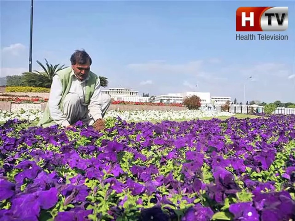 Erum PKG Happiness-htv