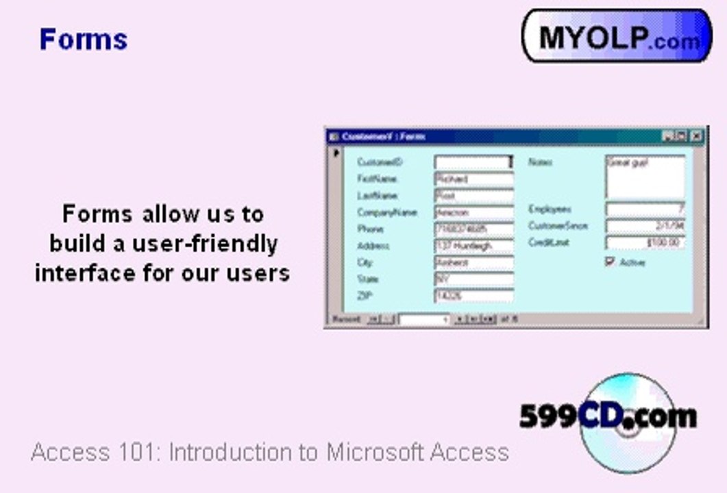 Microsoft Access 02-Terminology