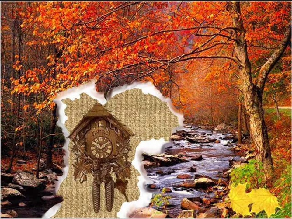 Wciąż kocham Cię ( cover)