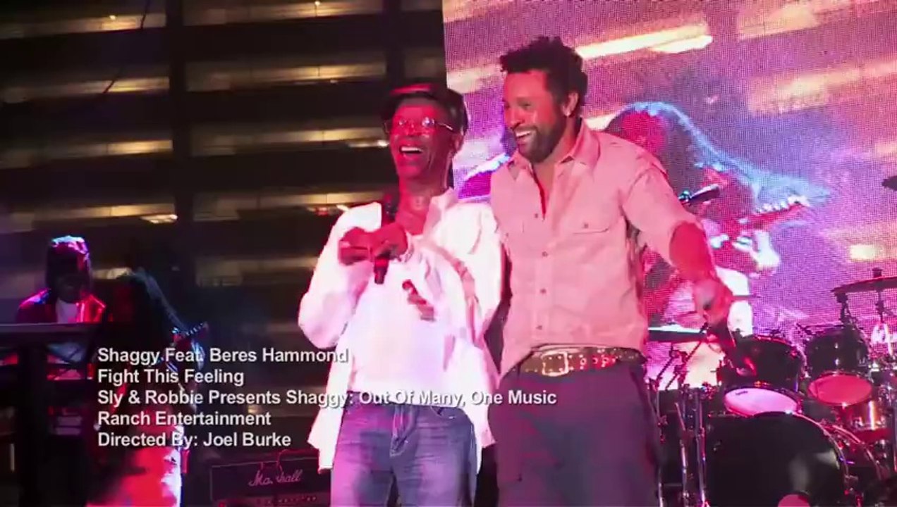 Shaggy feat...