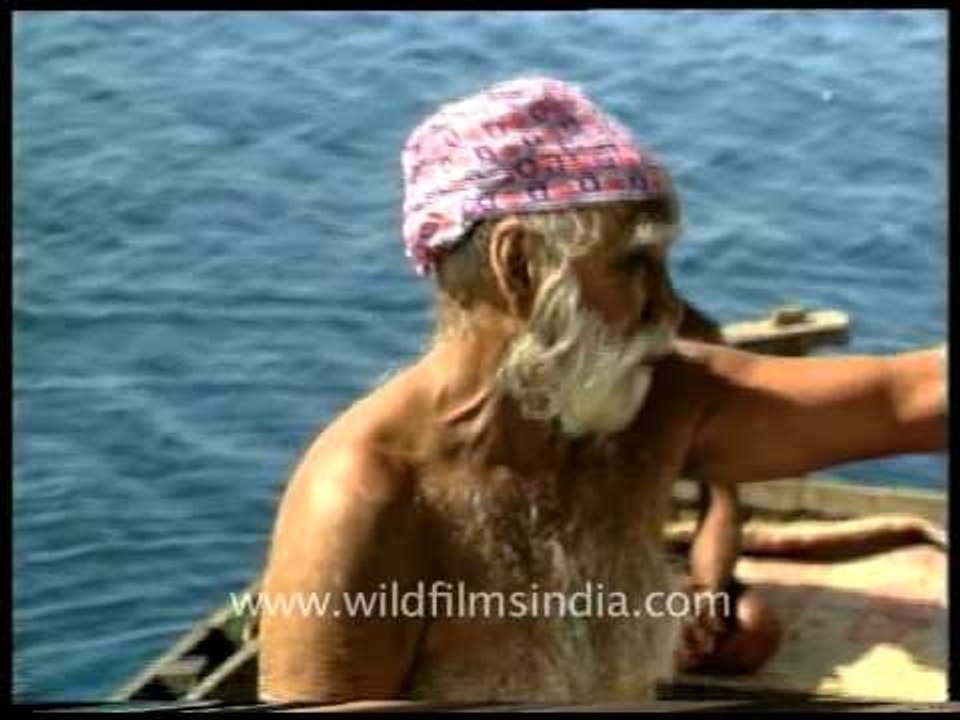 Old guys work hard in Andaman