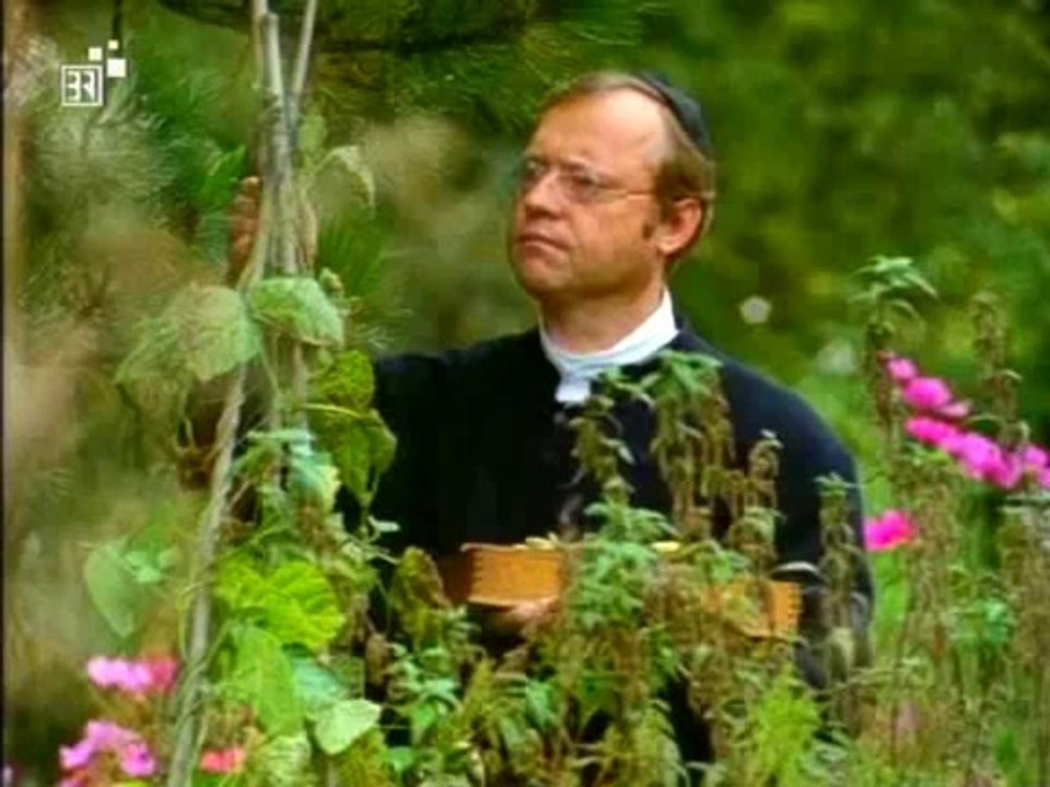 Biologie - 08. Grundlagen der Genetik